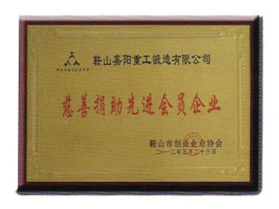 慈善捐助先进会员企业