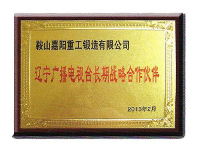 辽宁广播电视台长期战略合作伙伴